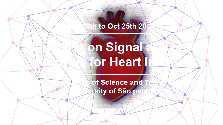 Material do I Workshop on Signal and Image Analysis for Heart In Silico